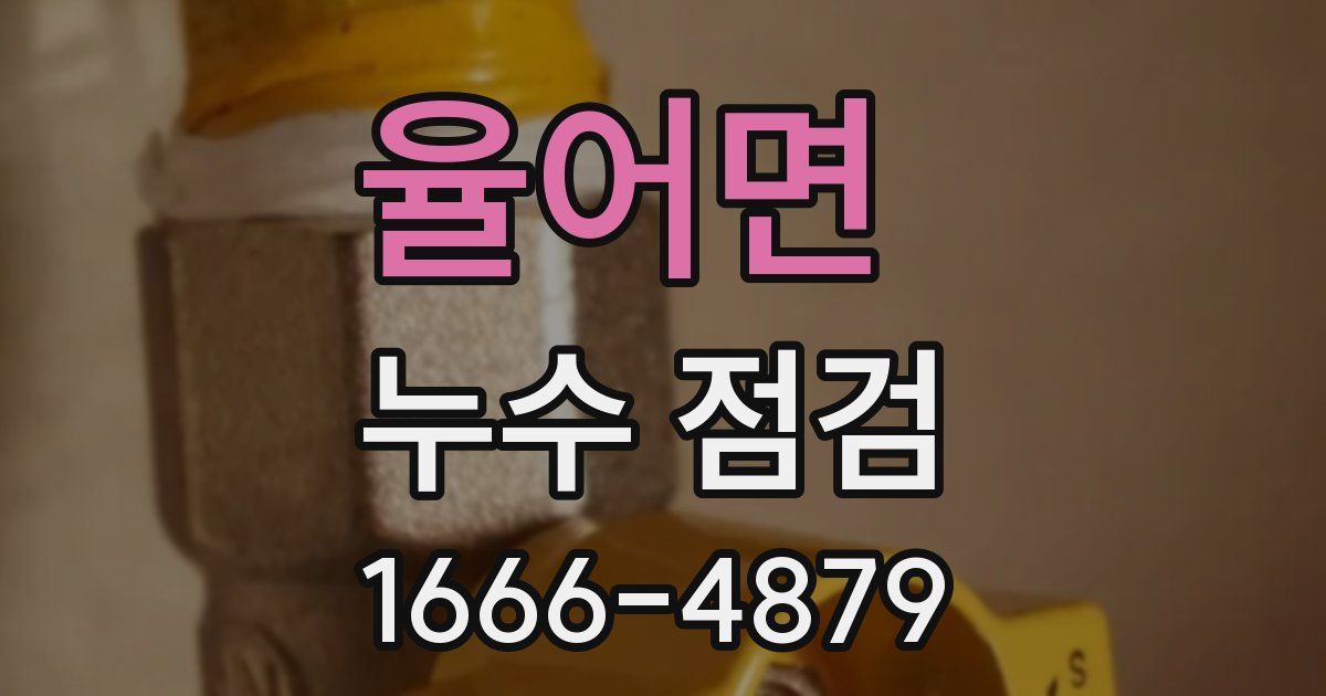율어면 누수 점검