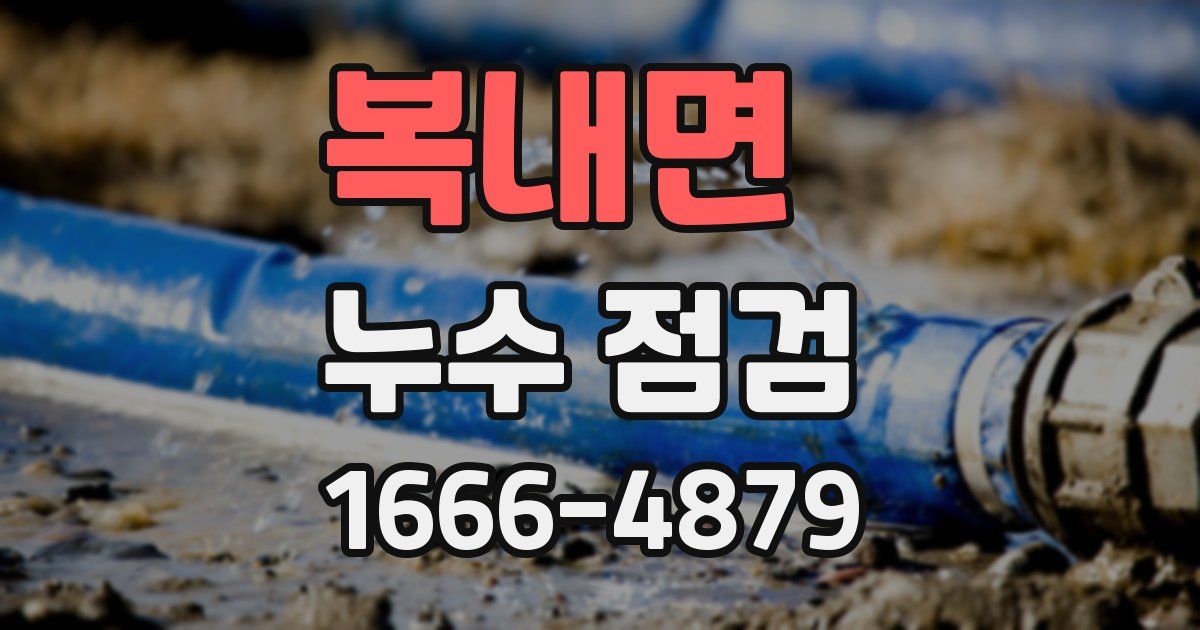 복내면 누수 점검