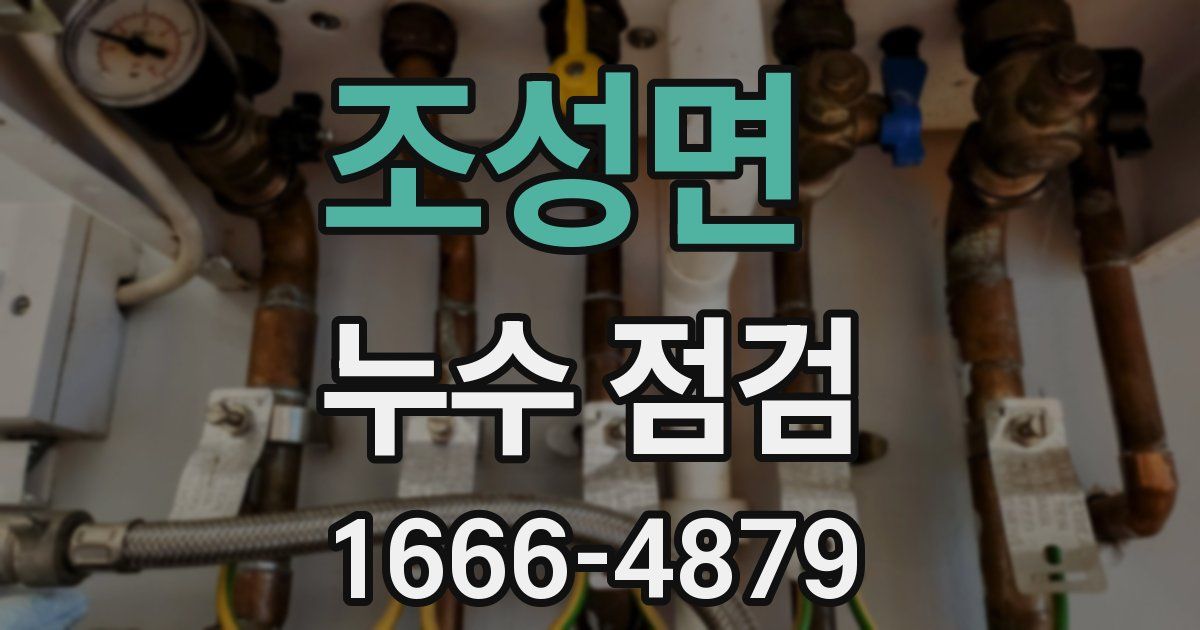 조성면 누수 점검