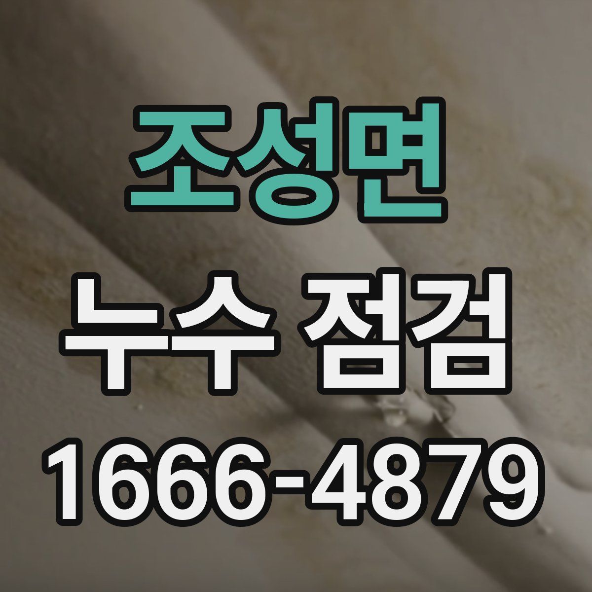 조성면 누수 점검