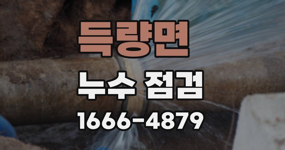 득량면 누수 점검