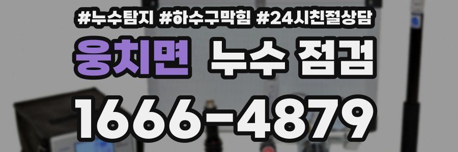 웅치면 누수 점검