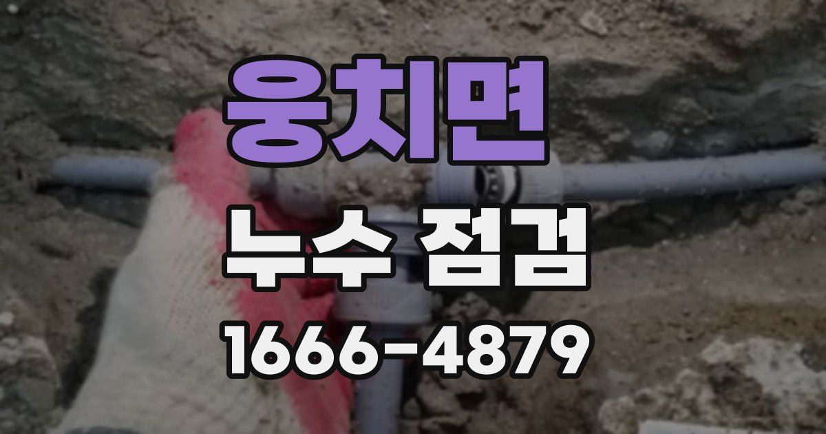 웅치면 누수 점검