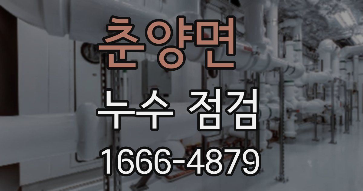 춘양면 누수 점검