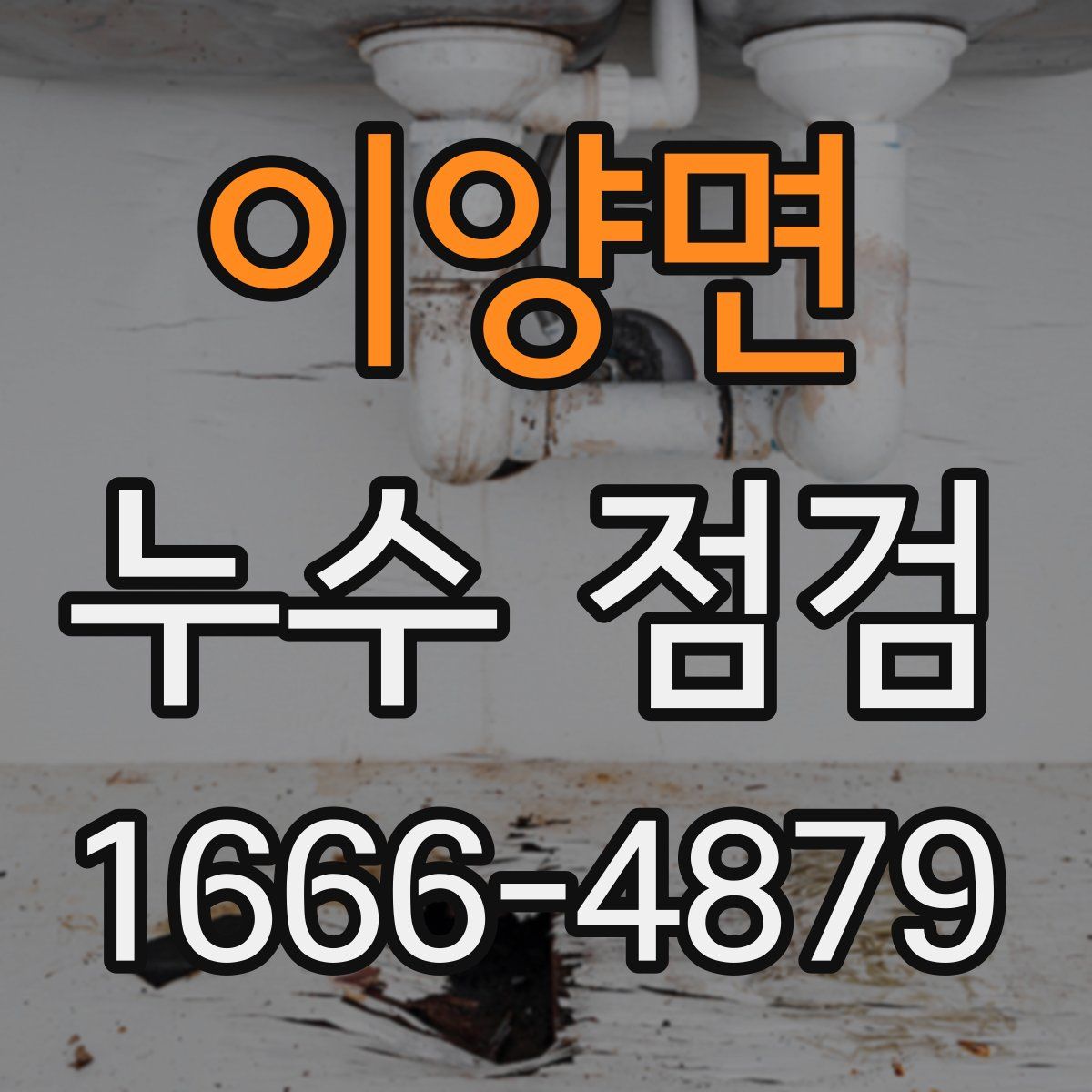 이양면 누수 점검