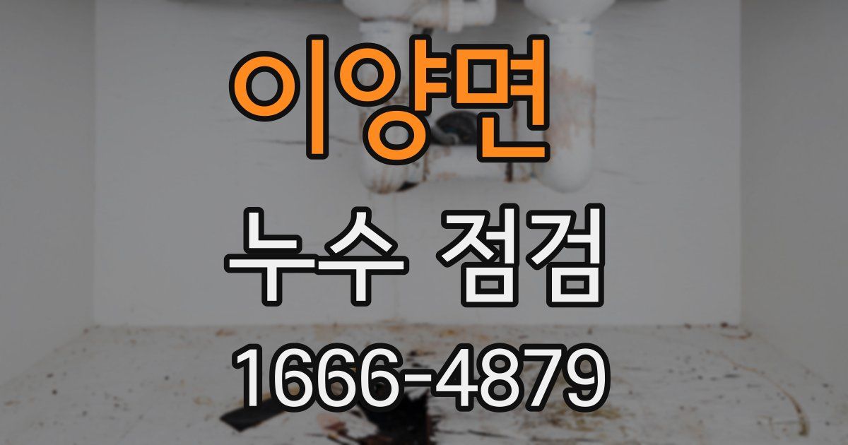 이양면 누수 점검