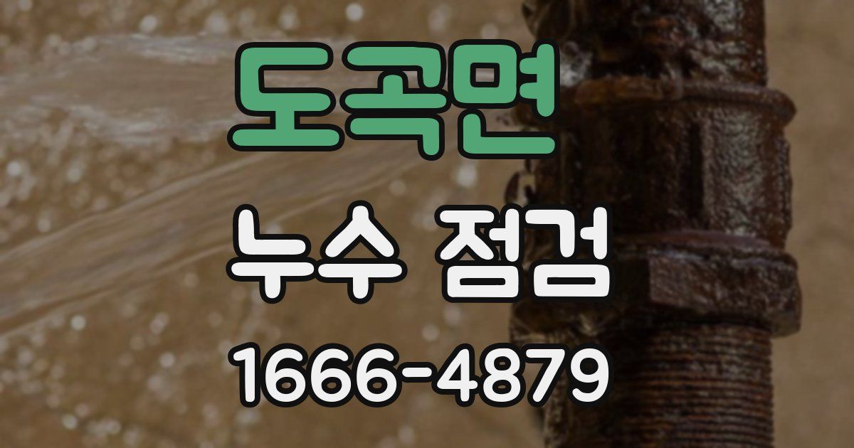 도곡면 누수 점검