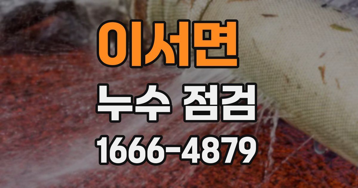 이서면 누수 점검