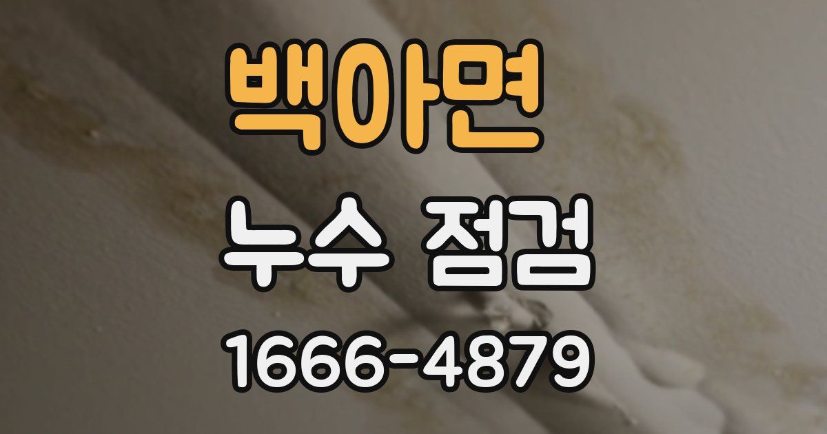 백아면 누수 점검
