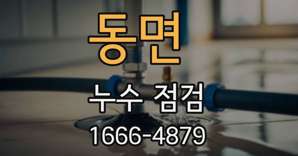 동면 누수 점검