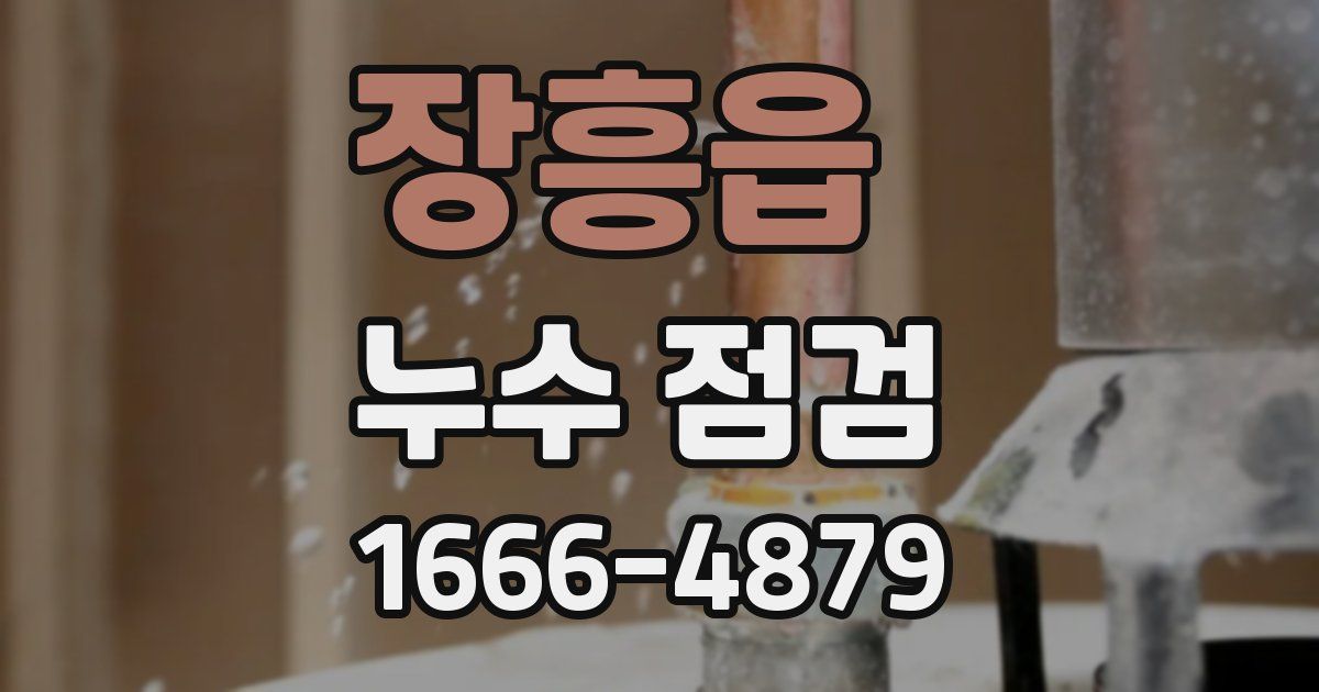 장흥읍 누수 점검