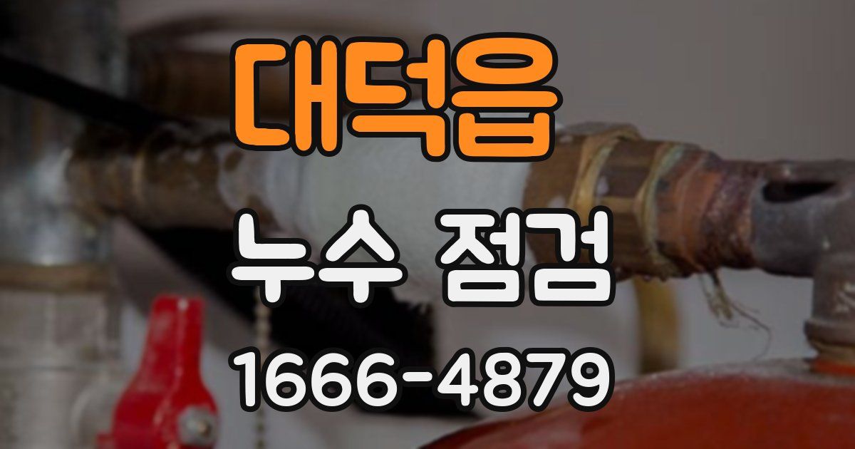 대덕읍 누수 점검