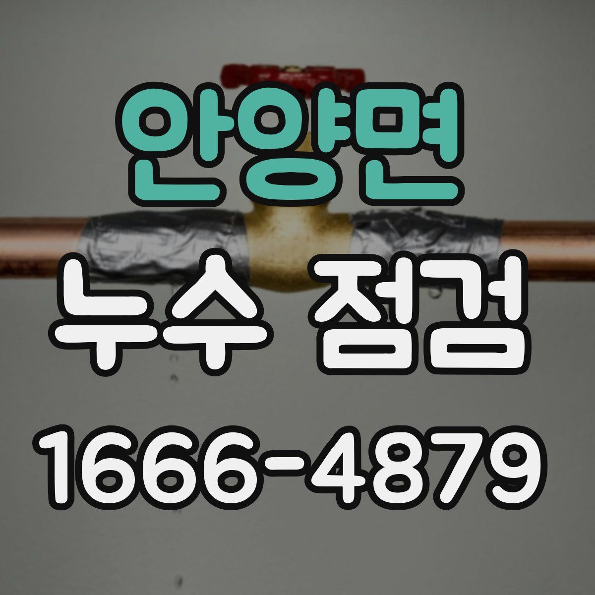 안양면 누수 점검