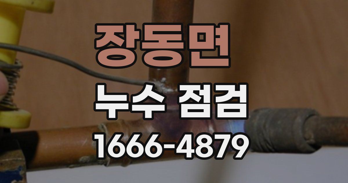 장동면 누수 점검