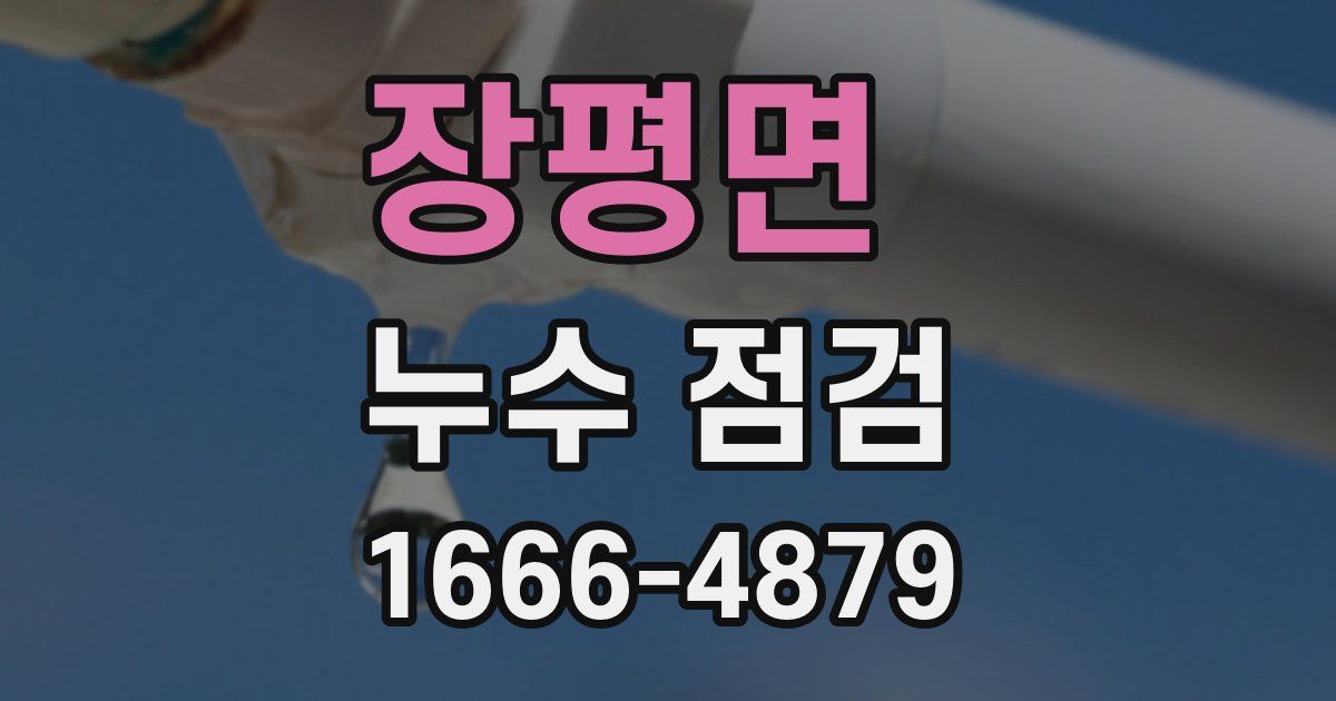 장평면 누수 점검