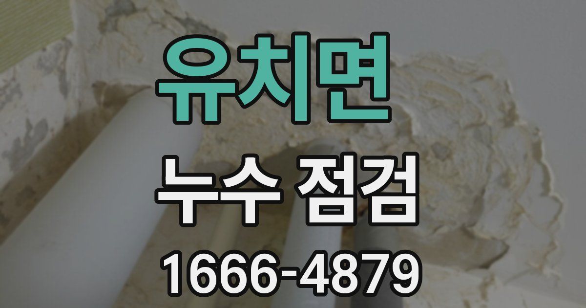 유치면 누수 점검