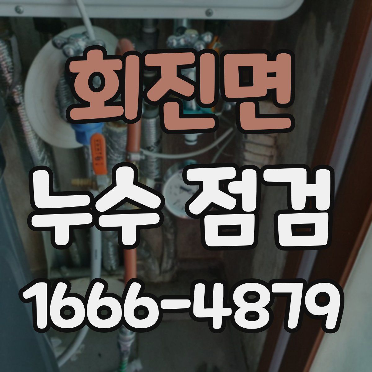 회진면 누수 점검