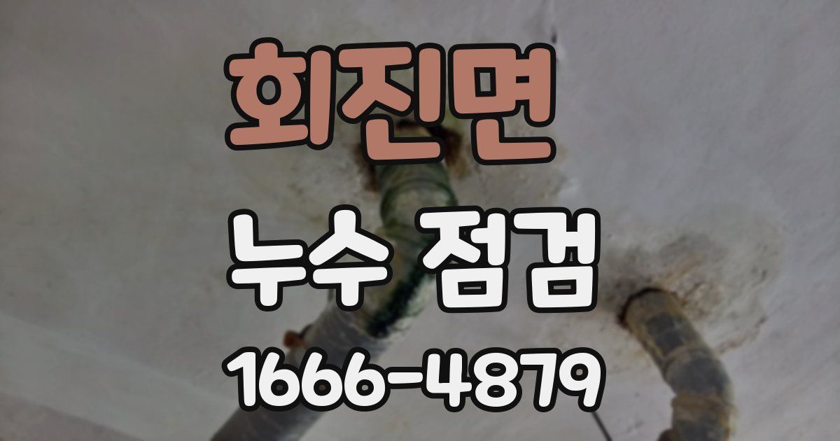 회진면 누수 점검
