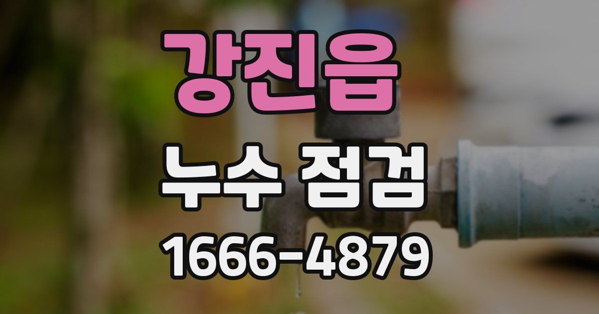 강진읍 누수 점검