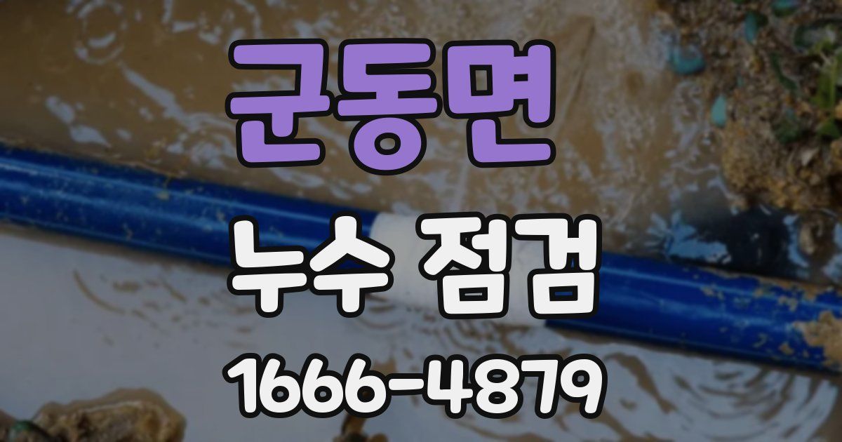 군동면 누수 점검