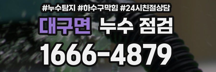 대구면 누수 점검