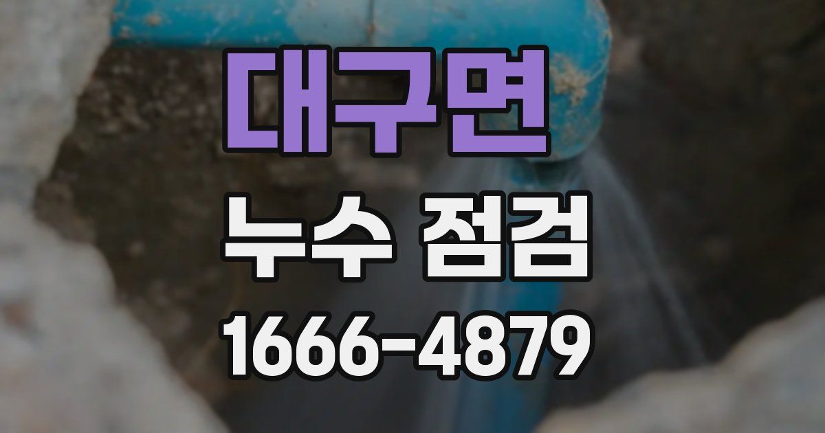 대구면 누수 점검