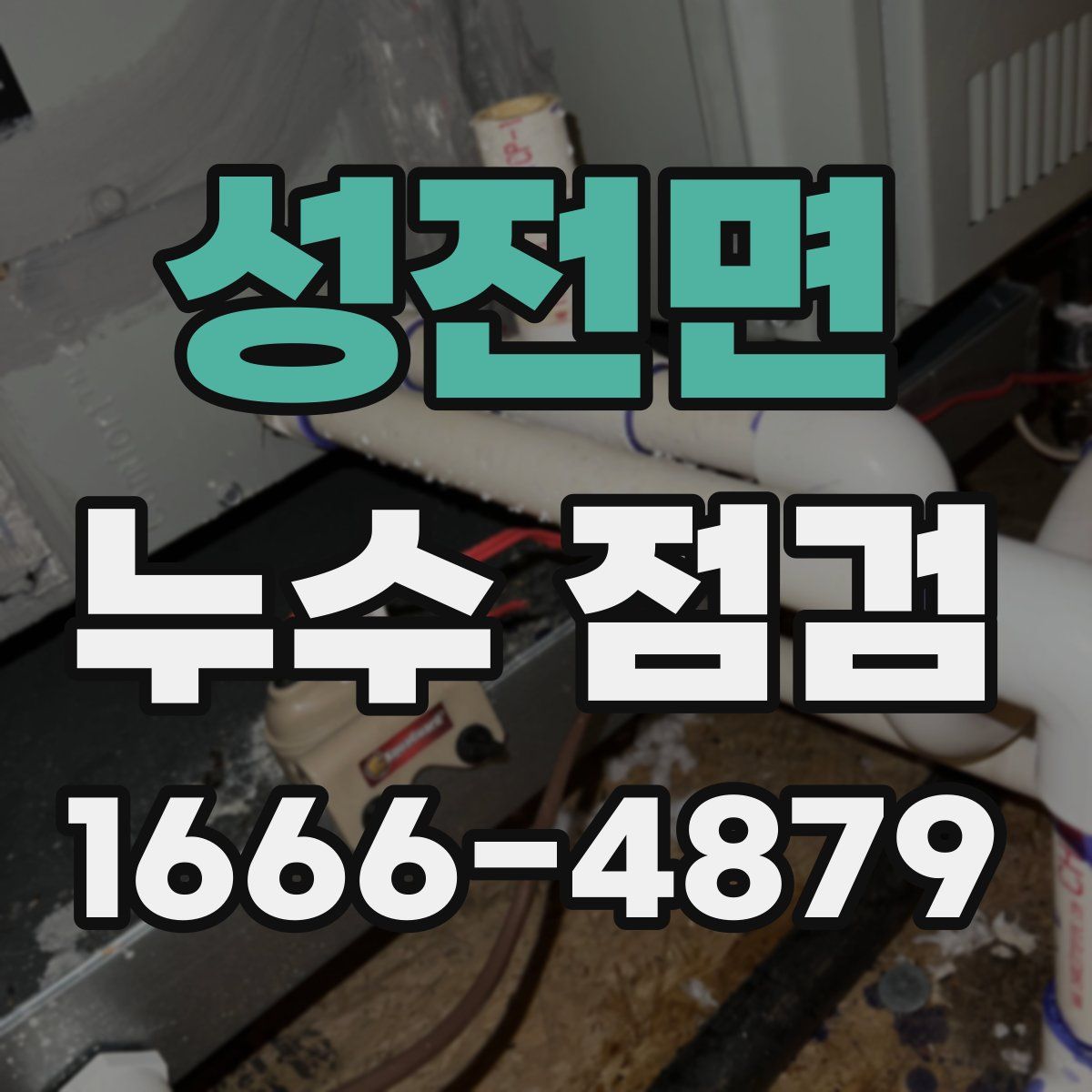 성전면 누수 점검