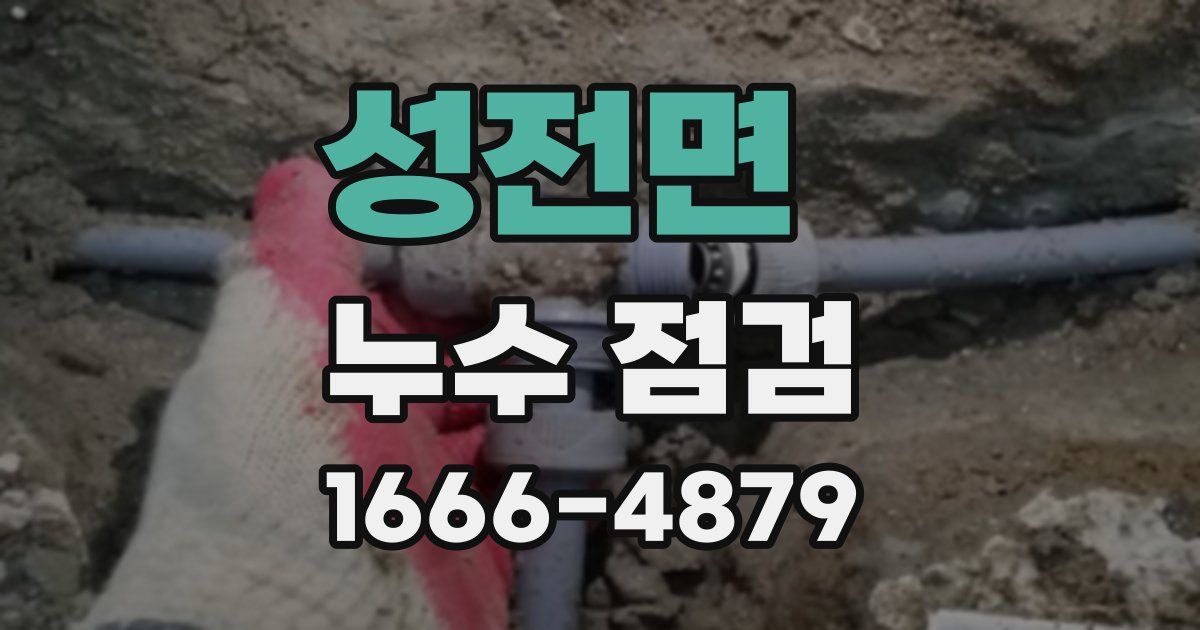 성전면 누수 점검
