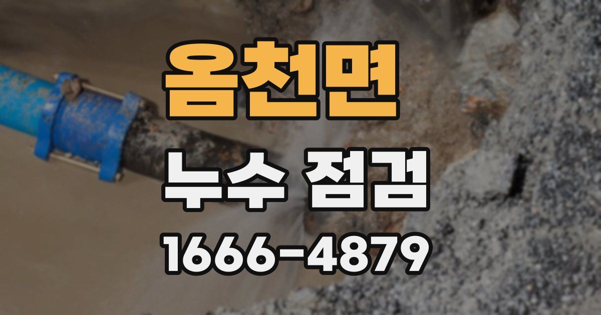 옴천면 누수 점검