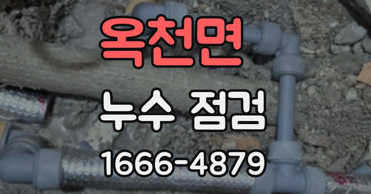 옥천면 누수 점검