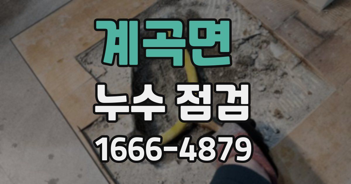 계곡면 누수 점검