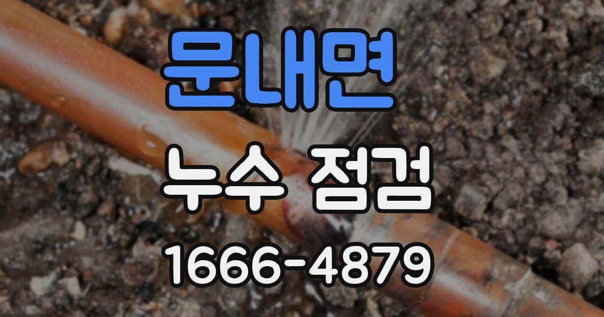 문내면 누수 점검