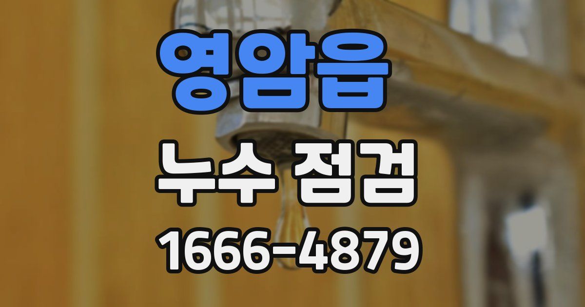 영암읍 누수 점검