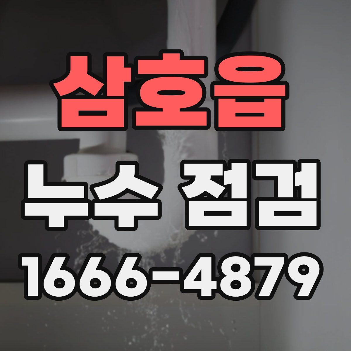 삼호읍 누수 점검