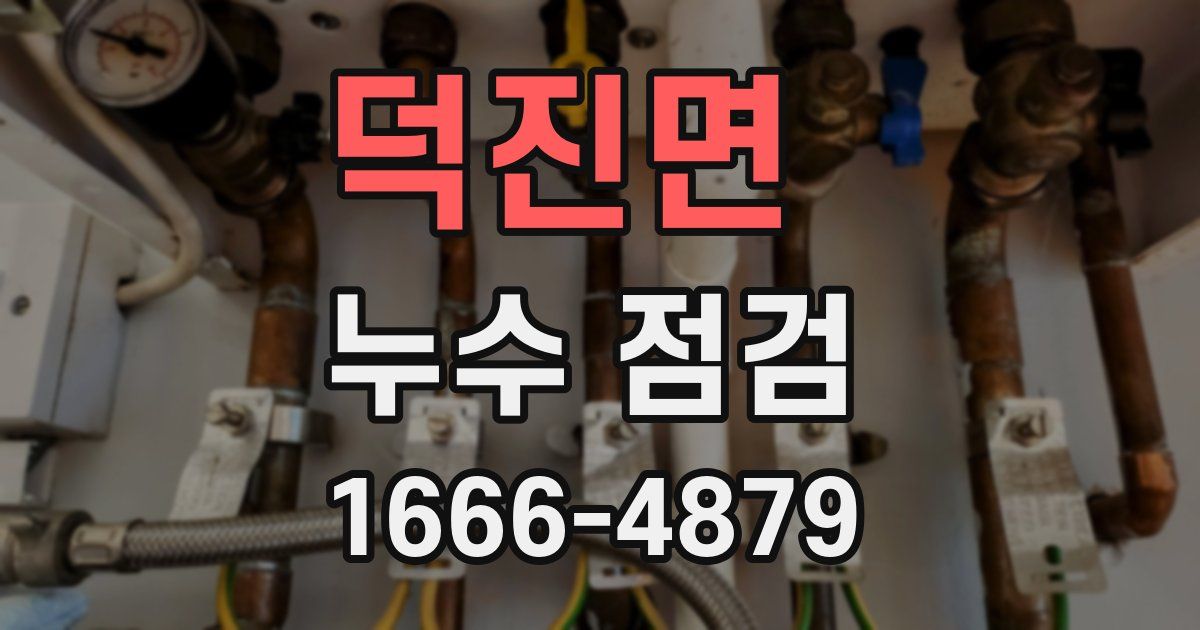덕진면 누수 점검