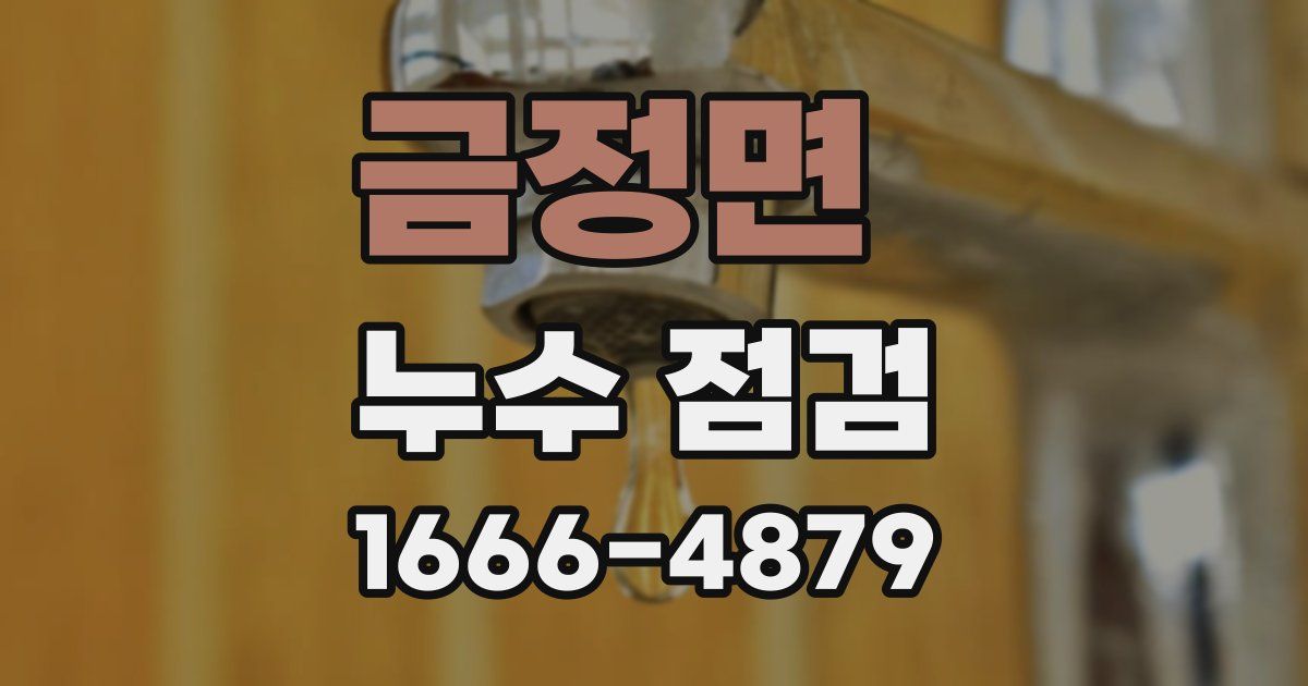 금정면 누수 점검