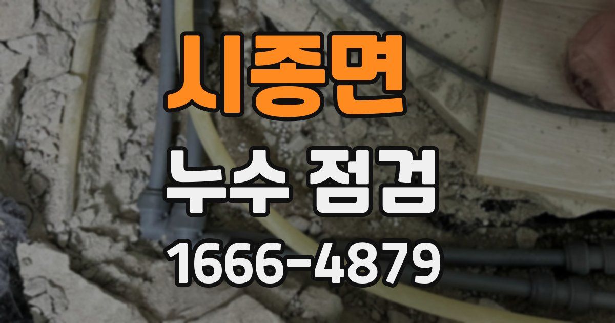 시종면 누수 점검