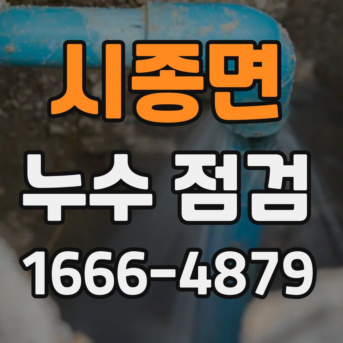 시종면 누수 점검