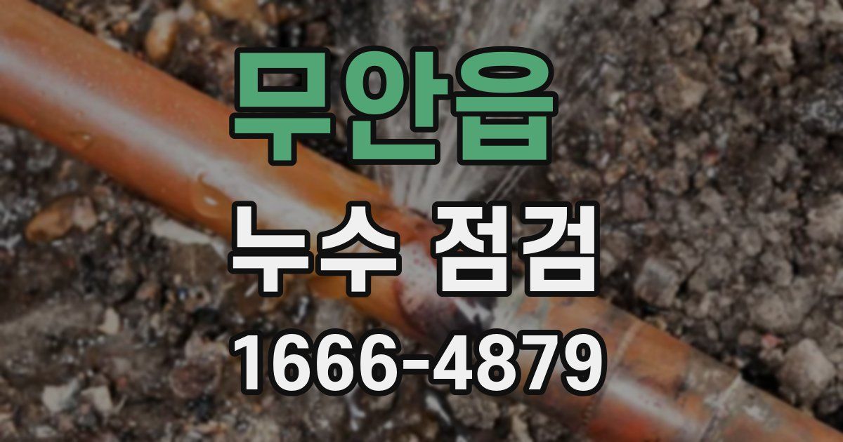무안읍 누수 점검