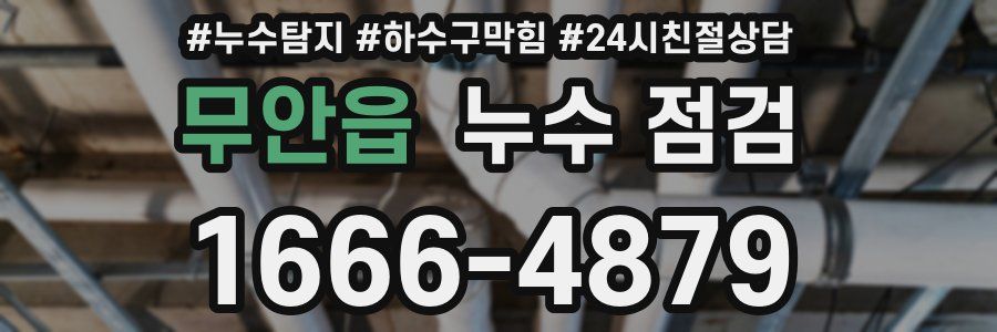 무안읍 누수 점검