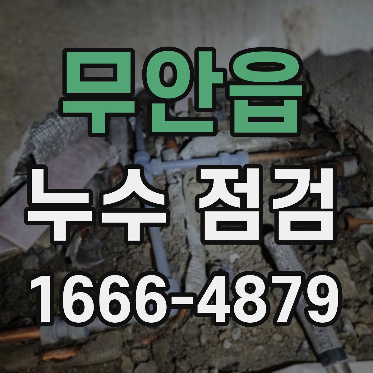 무안읍 누수 점검
