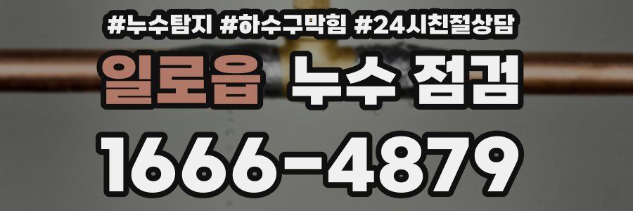 일로읍 누수 점검