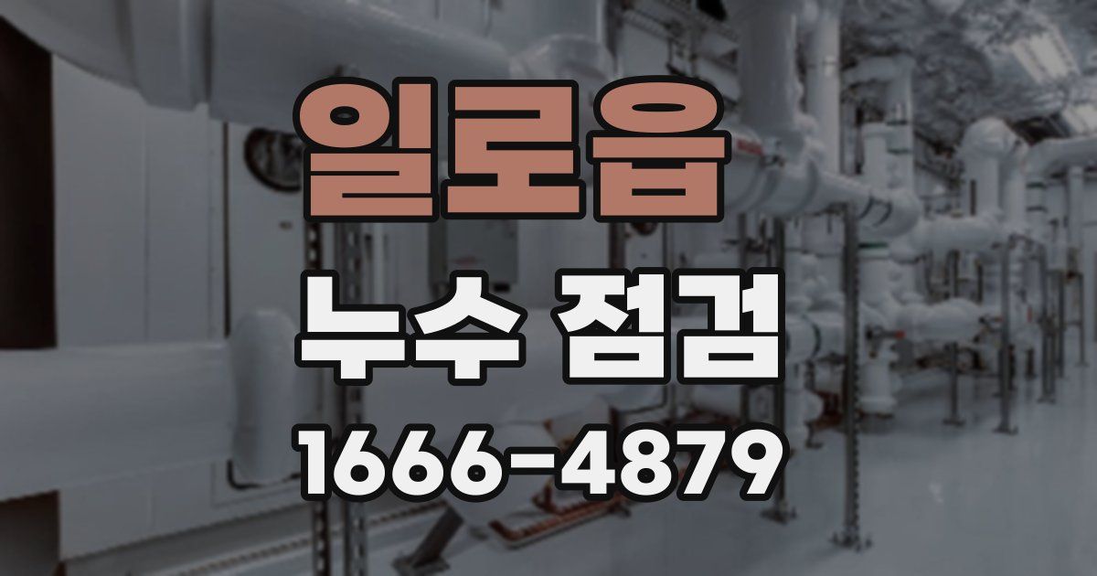 일로읍 누수 점검