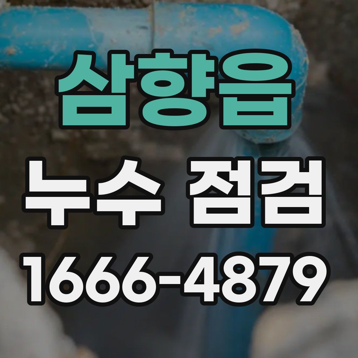 삼향읍 누수 점검