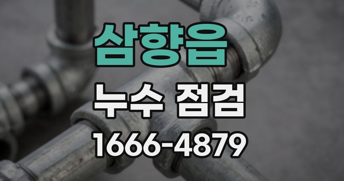 삼향읍 누수 점검
