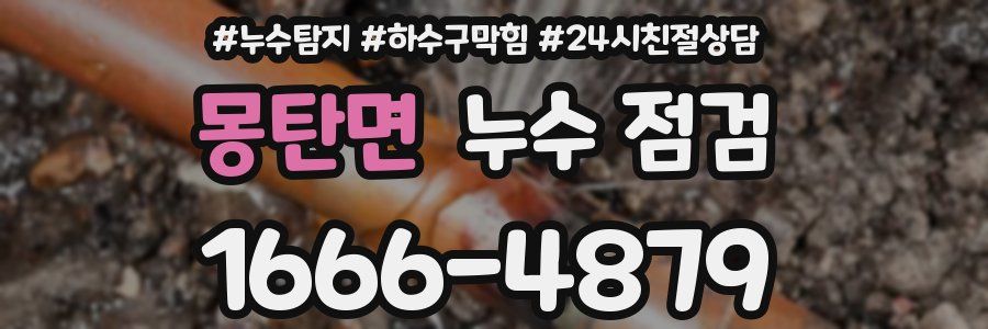 몽탄면 누수 점검