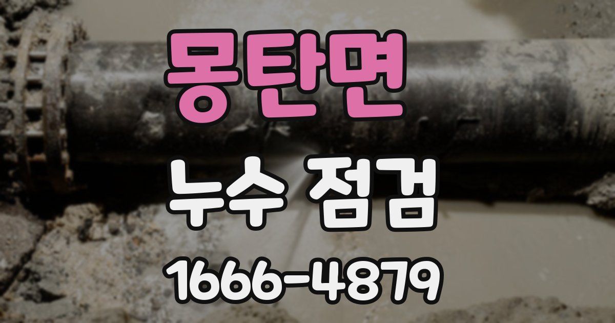 몽탄면 누수 점검