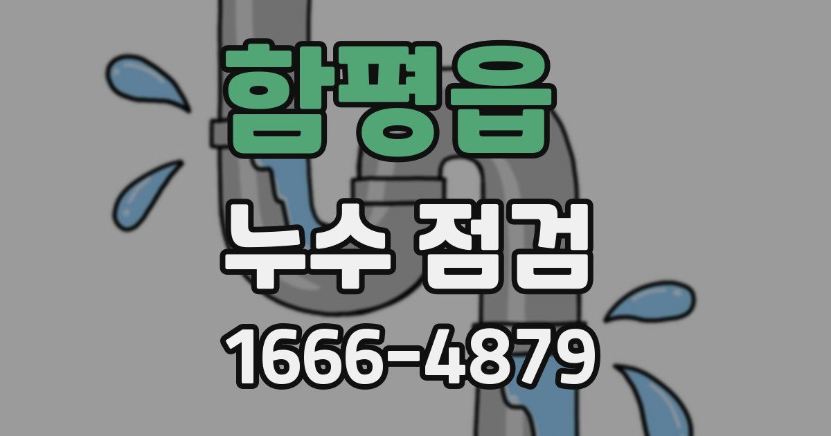 함평읍 누수 점검