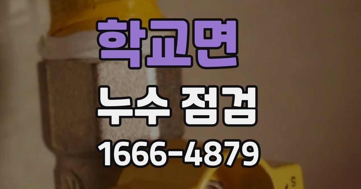학교면 누수 점검