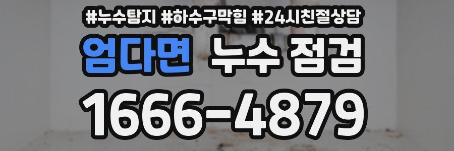 엄다면 누수 점검